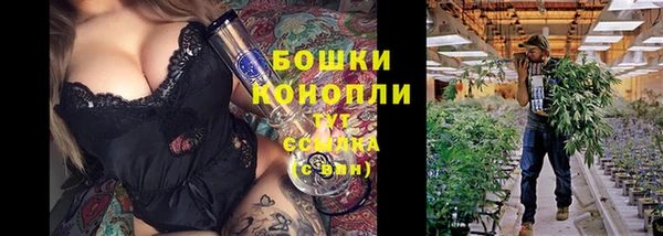 mdpv Новодвинск