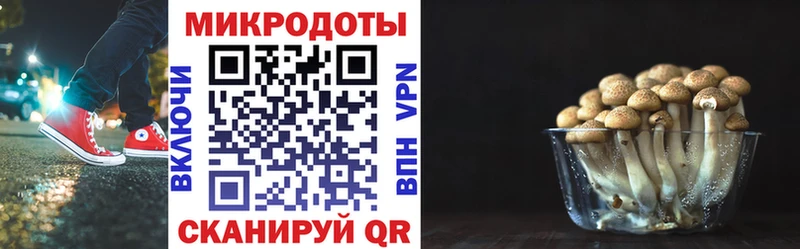 Галлюциногенные грибы Magic Shrooms  ссылка на мегу вход  Пошехонье 